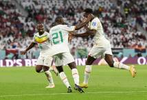 قطر VS السنغال