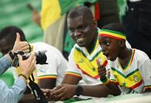المشجعين السنغاليين