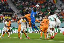 السنغال vs هولندا