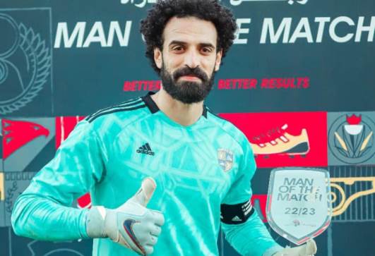 محمود ابوالسعود