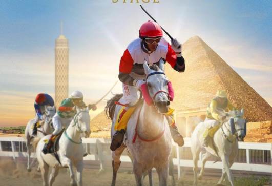 كأس رئيس دولة الإمارات للخيول