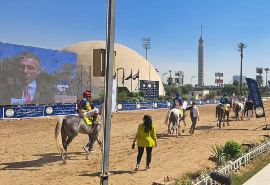  كأس رئيس الإمارات للخيول العربية