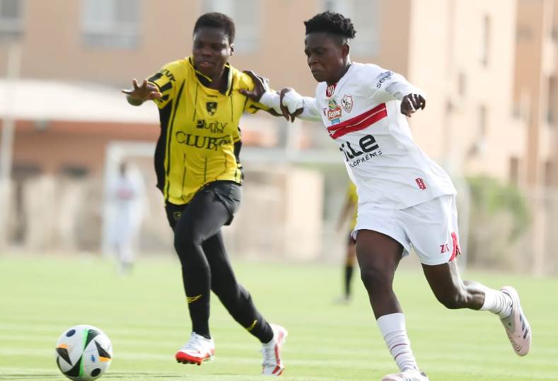 الزمالك ووادي دجلة