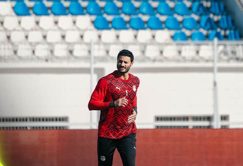 محمد الشناوي 