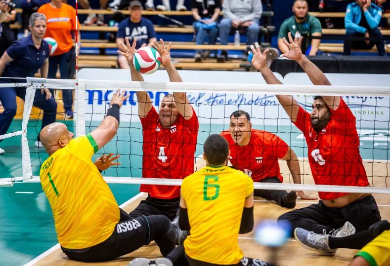 منتخب مصر للطائرة جلوس