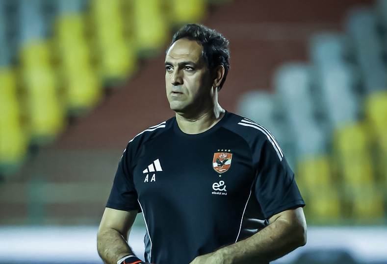 أمير عبدالحميد