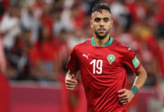 محمد الشيبي