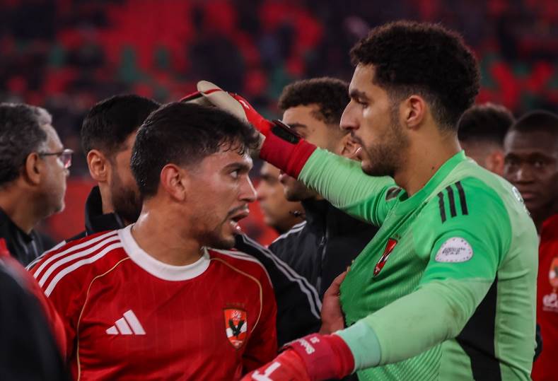 مصطفى شوبير