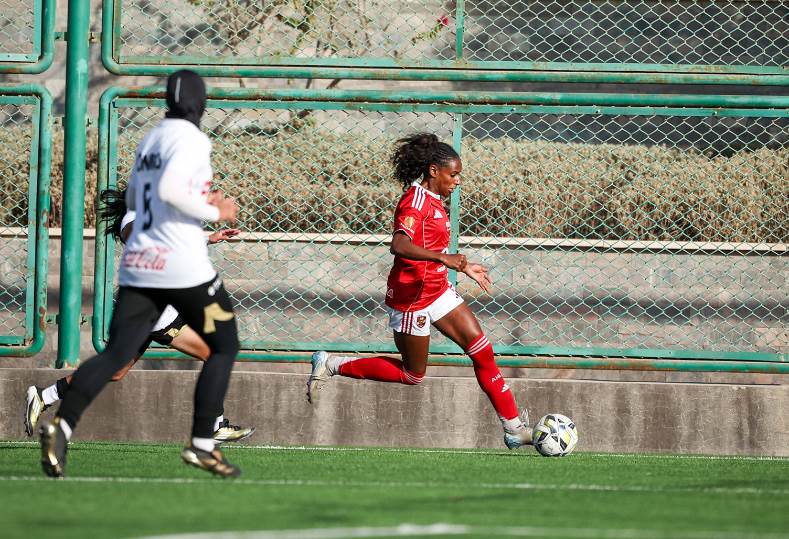 الأهلي والزمالك