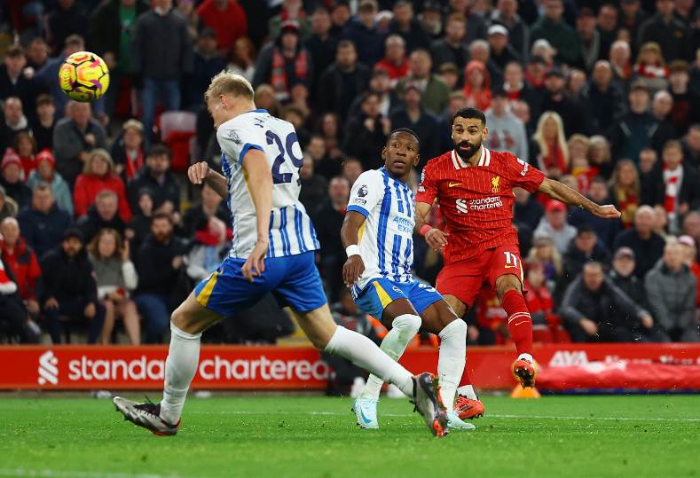 ليفربول وبرايتون 