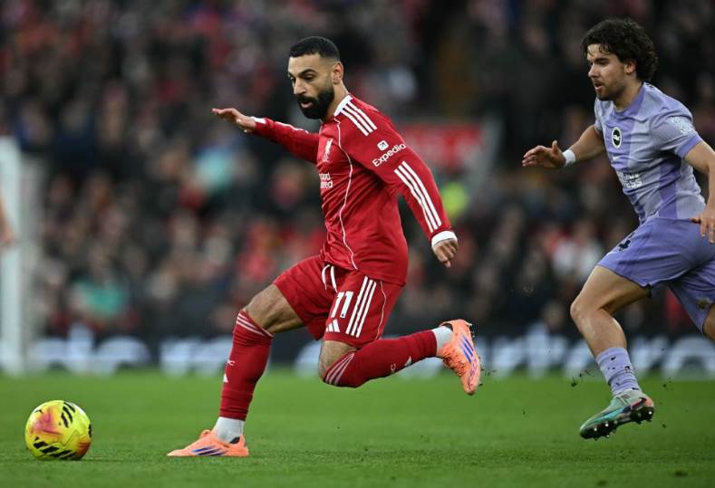 ليفربول ضد برايتون 