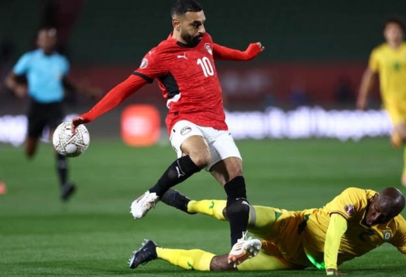 مصر وزيمبابوي