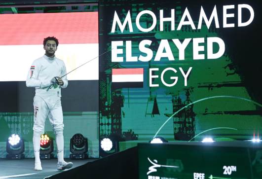 محمد السيد