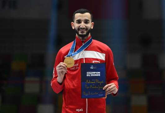 محمود السيد