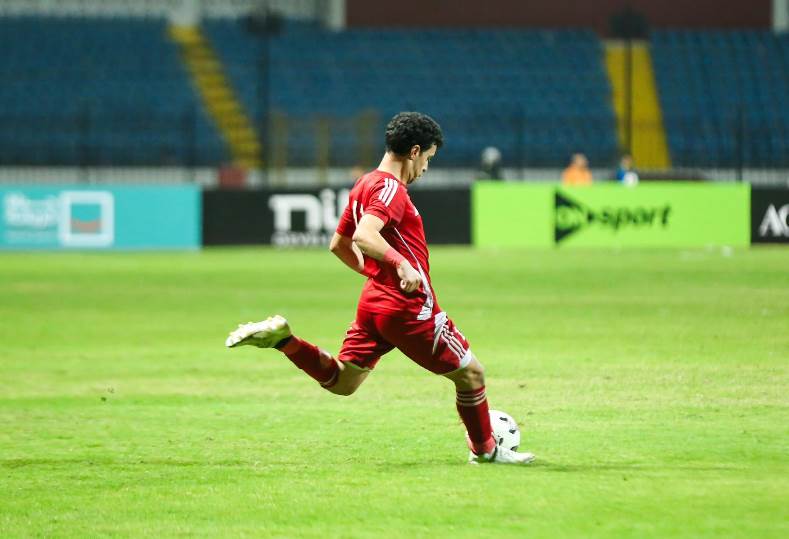 فوزي الحناوي 