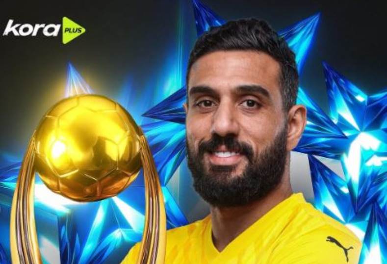 أحمد الشناوي