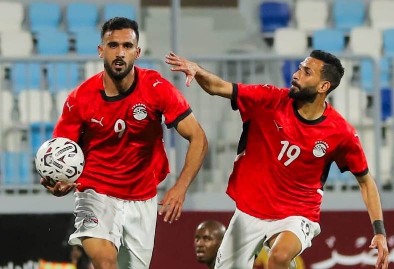 محمد السيد شيكا