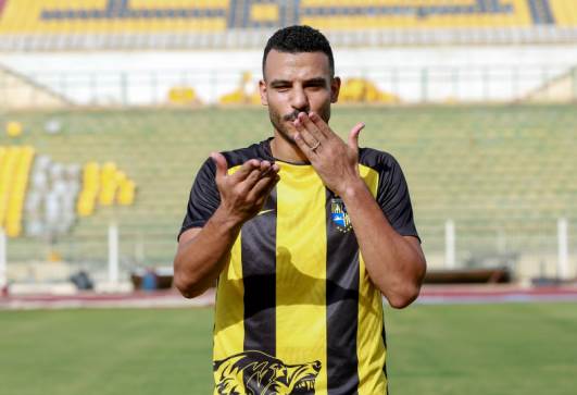 شكري نجيب