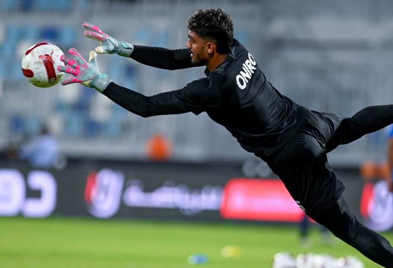 محمد صبحي