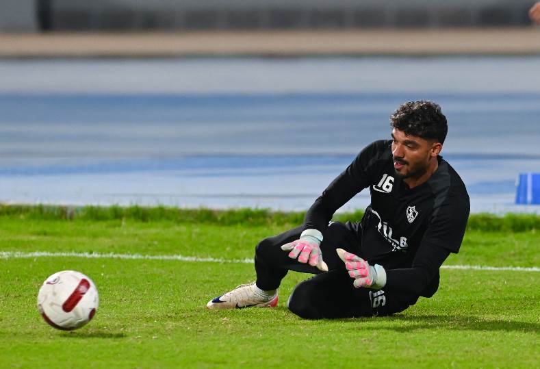 محمد صبحي 