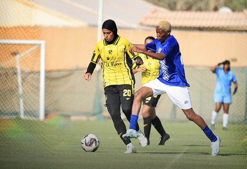 وادي دجلة والمقاولون العرب