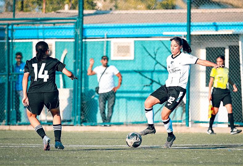 شروق السيد