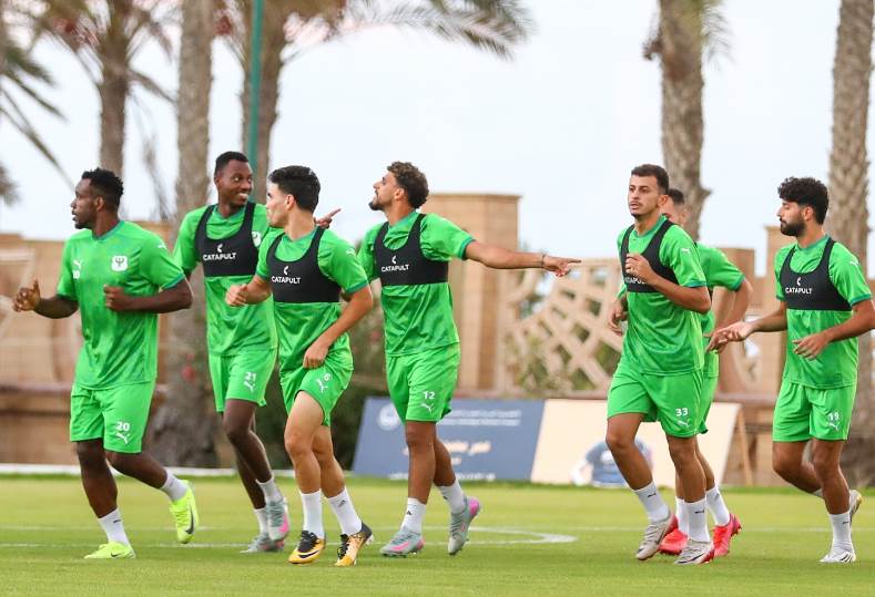 المصري 