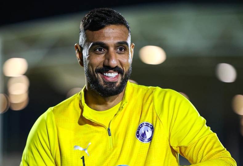 أحمد الشناوي 