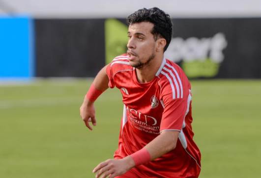 فوزي الحناوي 