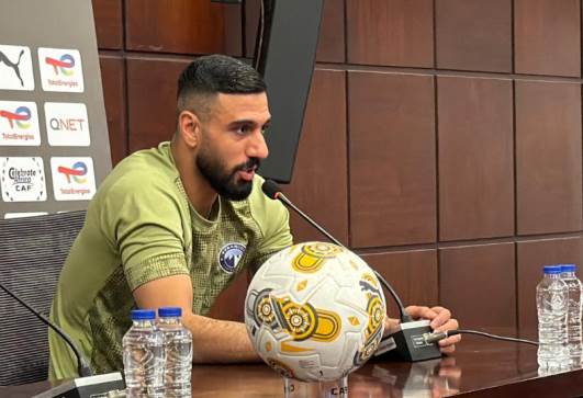أحمد الشناوي 