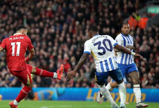ليفربول وبرايتون