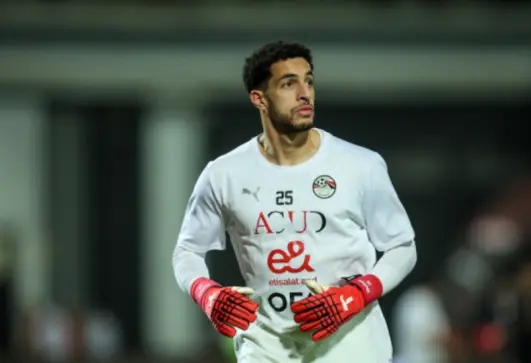مصطفى شوبير