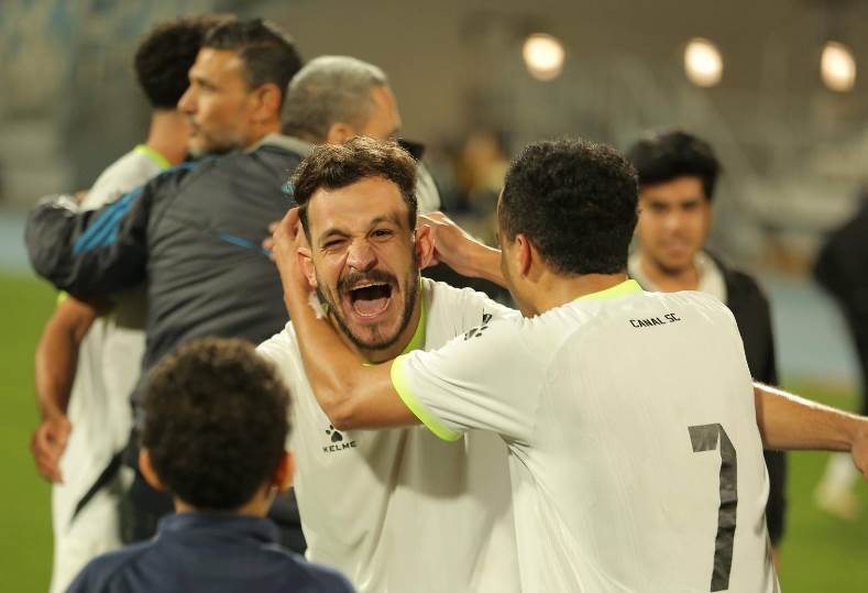 دوري المحترفين