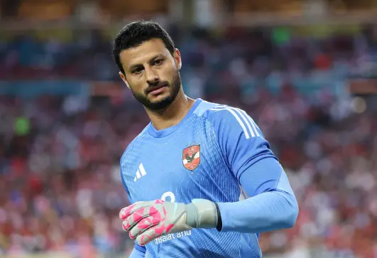 محمد الشناوي