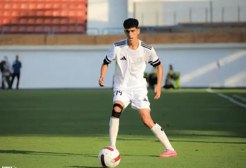 علي حمدي 