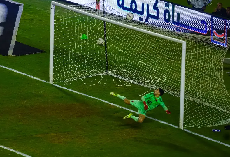 مصطفى شوبير