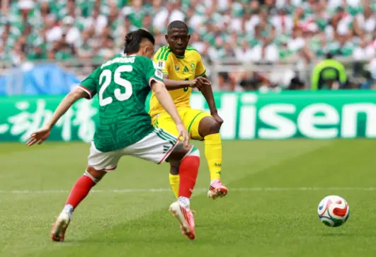 المكسيك وجنوب أفريقيا