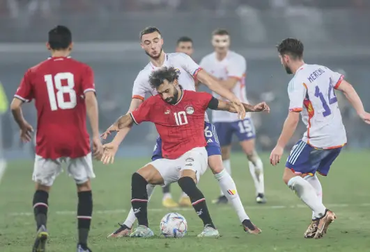 مصر وبلجيكا