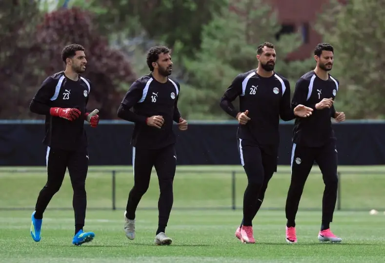 مصطفى شوبير