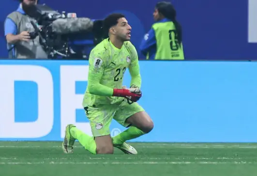 مصطفى شوبير