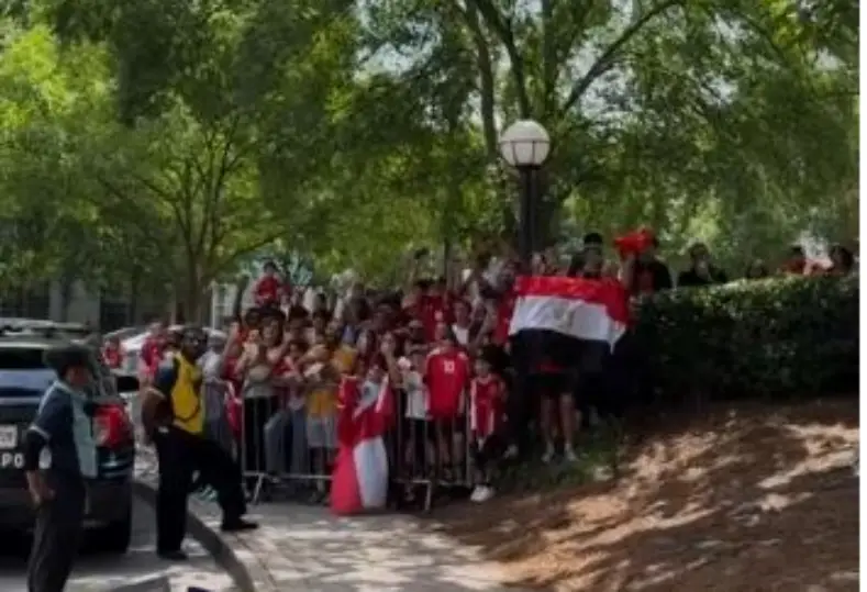 جماهير مصر