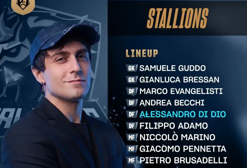 فريق STALLIONS
