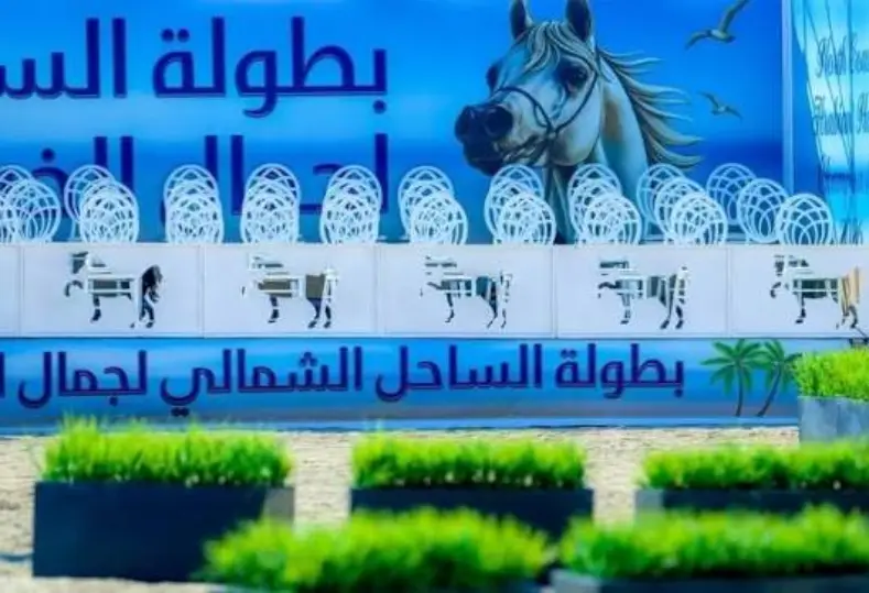  بطولة الساحل الشمالي لجمال الخيول العربية
